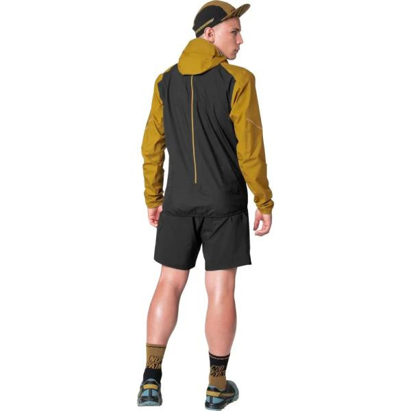 Купить Флісова кофта Dynafit Alpine 3L Mns