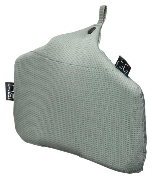 Buy Thule sapling child carrier (Agave) (th 3204539)