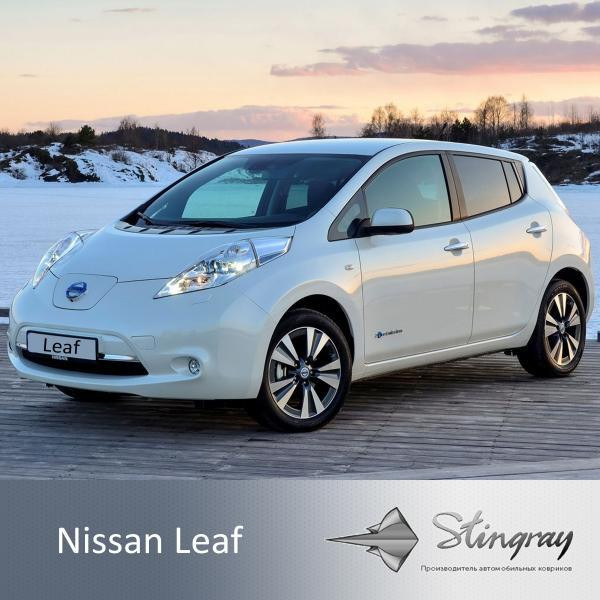 Купити Автоковрики Stingray Nissan Nissan Leaf 2010-2017 4 шт Чорние (1014094)