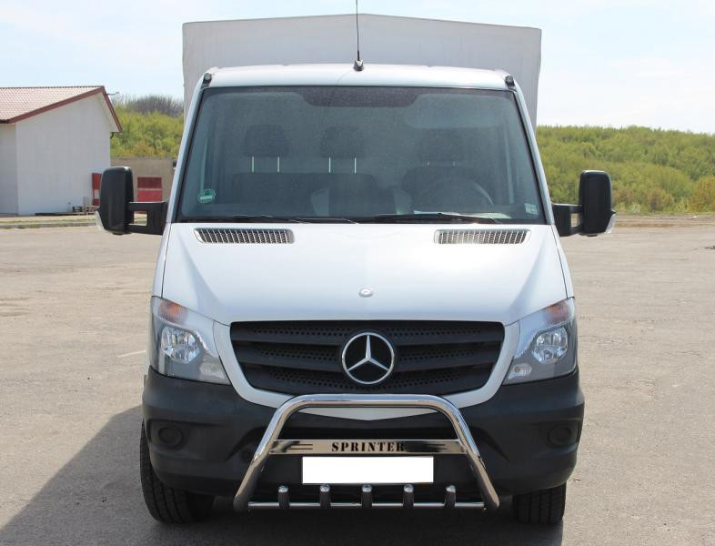 Купить Кенгурятник WT003 (нерж.) 60мм, с надписью для Mercedes Sprinter W906 2006-2018 гг