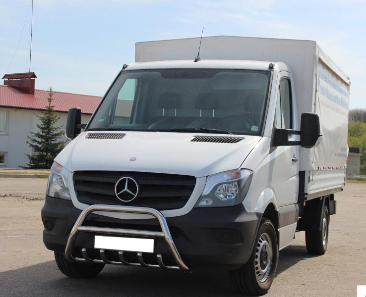 Купить Кенгурятник WT003 (нерж.) 60мм, с надписью для Mercedes Sprinter W906 2006-2018 гг