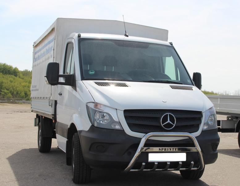 Купить Кенгурятник WT003 (нерж.) 60мм, без надписи для Mercedes Sprinter W906 2006-2018 гг