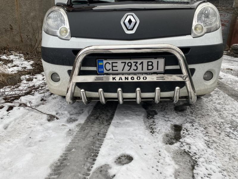 Купить Кенгурятник WT003/004 (нерж.) без надписи, 51 мм для Renault Kangoo 2008-2020 гг