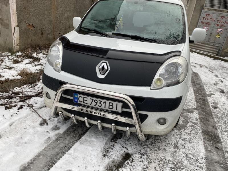 Купить Кенгурятник WT003/004 (нерж.) без надписи, 51 мм для Renault Kangoo 2008-2020 гг