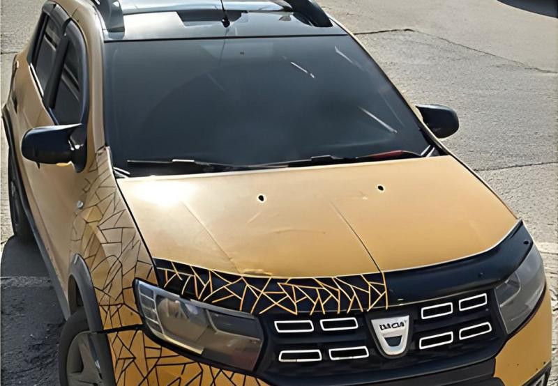 Купить Накладки на зеркала BMW-style (2 шт) для Renault Sandero 2013-2022 гг