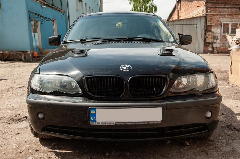 Купить Накладка на капот тип-B (2 шт, ABS)