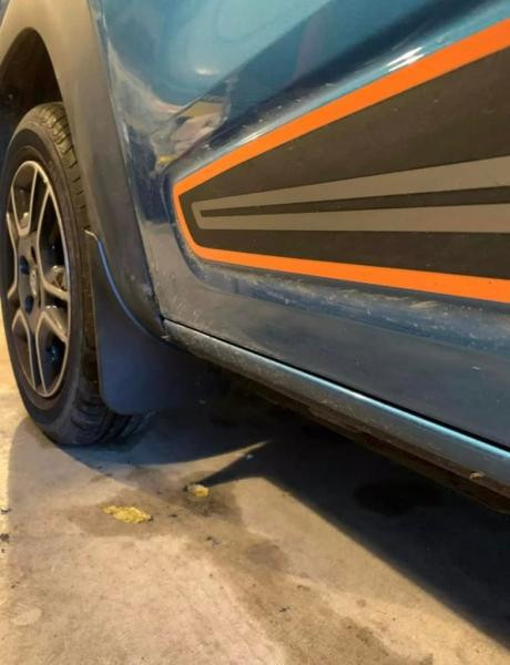 Купити Бризковики Premium (4 шт) для Renault City K-ZE