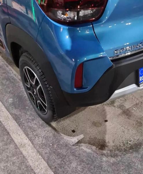 Купити Бризковики Premium (4 шт) для Renault City K-ZE