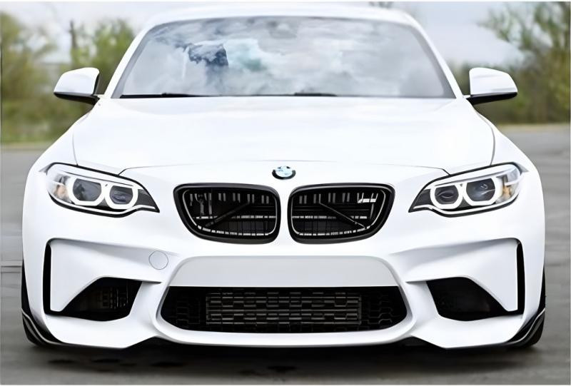 Купить Универсальная передняя Flap накладка DPT V-1 (ABS) (2шт) (черный глянец)