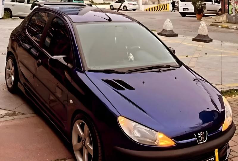 Купить Накладки на зеркала BMW-Style (2 шт) для Peugeot 206