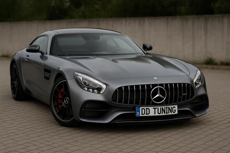 Купить Передняя решетка GT Panamericana (2014-2017) для Мерседес AMG GT C190/R190