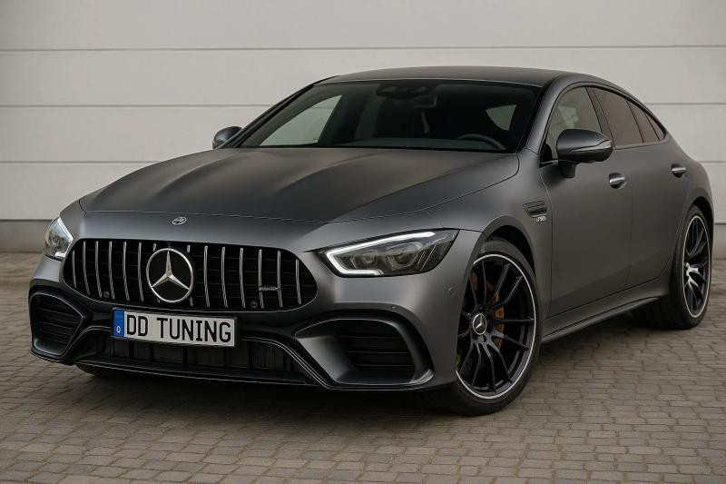 Купити Передня решітка GT Panamericana (2018-2022) для Mercedes AMG GT 4 X290