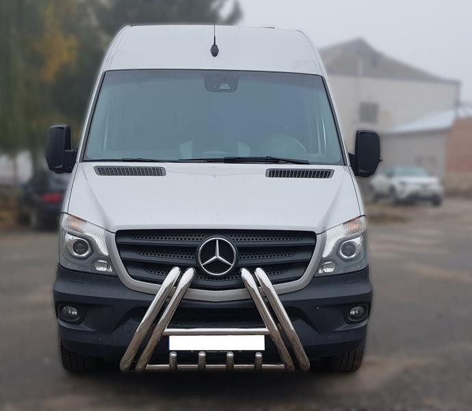Купить Кенгурятник F1-01 (нерж.) для Mercedes Sprinter W906 2006-2018 гг