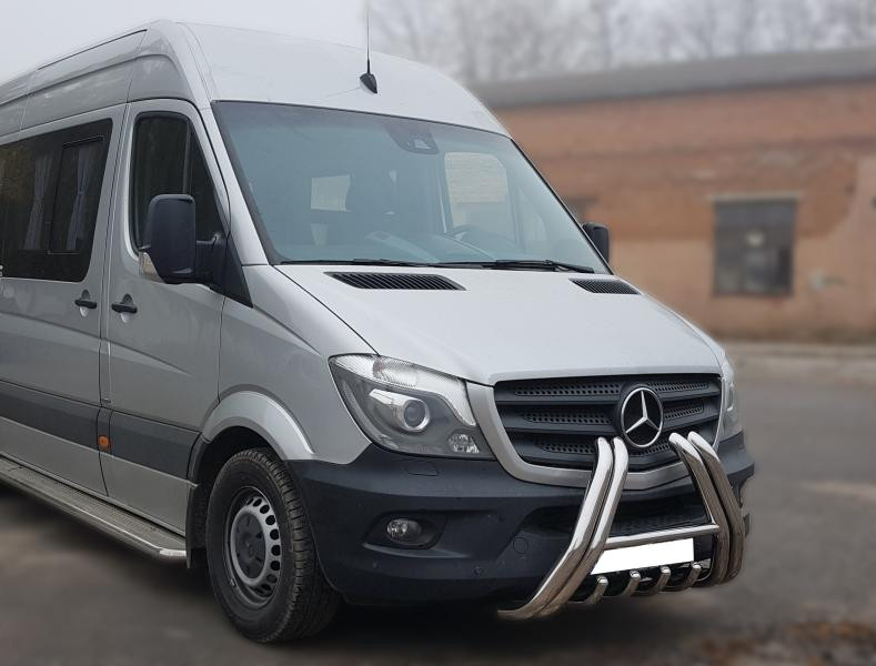 Купить Кенгурятник F1-01 (нерж.) для Mercedes Sprinter W906 2006-2018 гг