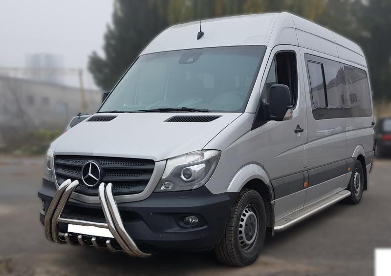 Купить Кенгурятник F1-01 (нерж.) для Mercedes Sprinter W906 2006-2018 гг