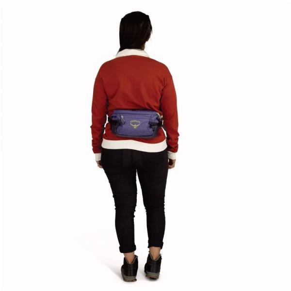 Купити Поясна сумка Osprey Transporter Waist Pack