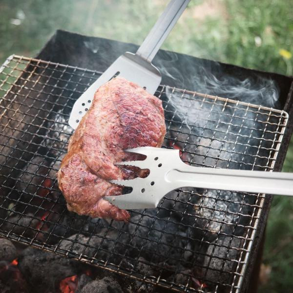 Купити Компактний набір для барбекю Roxon S601 металевий