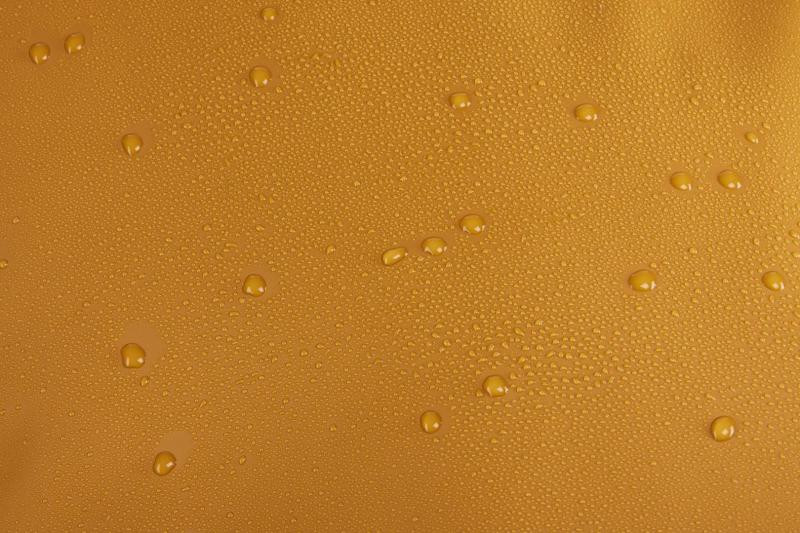 Купити Спортивная сумка Thule Chasm Duffel 70L (Golden) (TH 3204995)