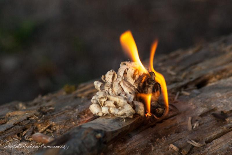 Купити Ніж Ganzo G8012 помаранчевий (G8012-OR)