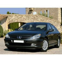 Buy Gazer T6009-Z8 multimedia system to Peugeot 607 2004-2010