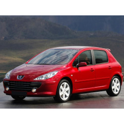 Купить Мультимедійна система Gazer T6009-PF2 PRO до Peugeot 307 2001-2008