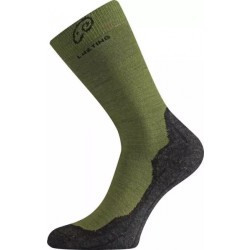 Купить Шкарпетки Lasting WHI L зелений 699