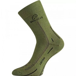 Купить Шкарпетки Lasting WLS L зелений 699
