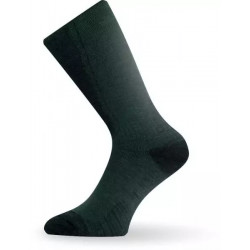 Купити Шкарпетки Lasting WSM L зелений 620