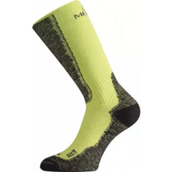 Купить Шкарпетки Lasting WSM M світло-зелений 689