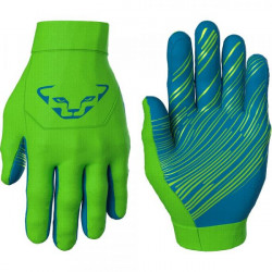 Купити Рукавиці Dynafit Upcycled Thermal Gloves  5641 (зелений), S