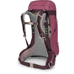 Buy Osprey Sirrus 26 backpack