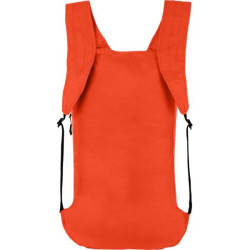 Buy Salewa Ultralight 22 l backpack