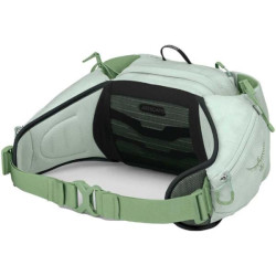 Buy Osprey Tempest 6 Belt Belt