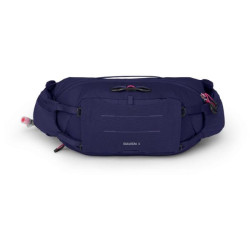 Buy Belt bag Osprey Raven 4