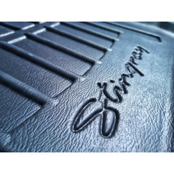 Купить Автоковрики Stingray Ford FORD Fiesta (USA) 2010-2017 4 шт Чорние (5007044)