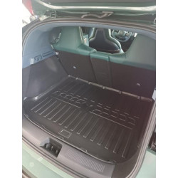 Купить Автоковрики Stingray Zeekr Zeekr X (2022-)  Чорние (5070024)