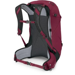 Купить Рюкзак Osprey Hikelite 28