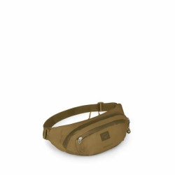 Купити Поясна сумка Osprey Daylite Waist Earth