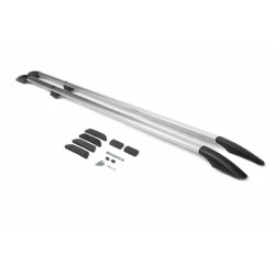 Купити Рейлінги Хром ( пласт. ніжки) Коротка, Чавунні ніжки для Opel Vivaro 2001-2015 рр