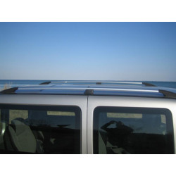 Купити Рейлінги Хром (пласт. ніжки) Стандартна база, пластикові ніжки для Fiat Doblo I 2005-2010 рр