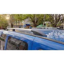 Купити Рейлінги Хром (пласт. ніжки) Стандартна база, пластикові ніжки для Fiat Doblo I 2005-2010 рр