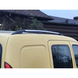 Купити Рейлінги Хром Стандартна база, Пластикові ніжки для Renault Kangoo 1998-2008 рр