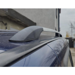 Купити Рейлінги Хром Металеві ніжки для Fiat Doblo I 2001-2005 рр