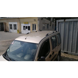 Купити Рейлінги Хром Металеві ніжки для Fiat Doblo I 2001-2005 рр