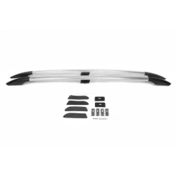 Купити Рейлінги Хром Пластикові ніжки для Nissan Qashqai 2010-2014рр