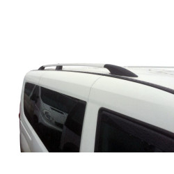 Купити Рейлінги Хром Стандартна, пластикові ніжки для Fiat Doblo II 2010-2022 рр