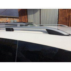 Купить Рейлинги Skyport Grey V1 для Peugeot Bipper