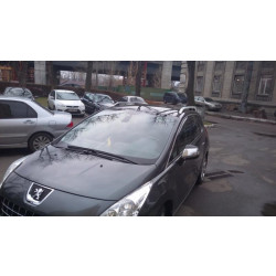 Купити Рейлінги Skyport Grey для Peugeot 3008 2008-2016 рр