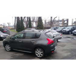 Купити Рейлінги Skyport Grey для Peugeot 3008 2008-2016 рр