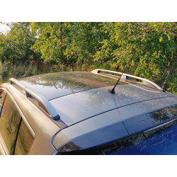 Купити Рейлінги Skyport Grey для Peugeot 3008 2008-2016 рр